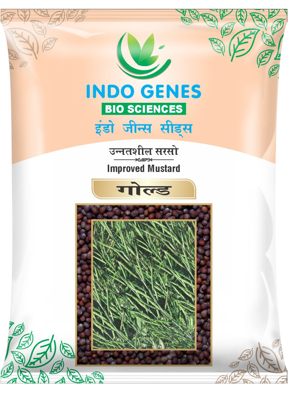 Shambhari Atta Pouch